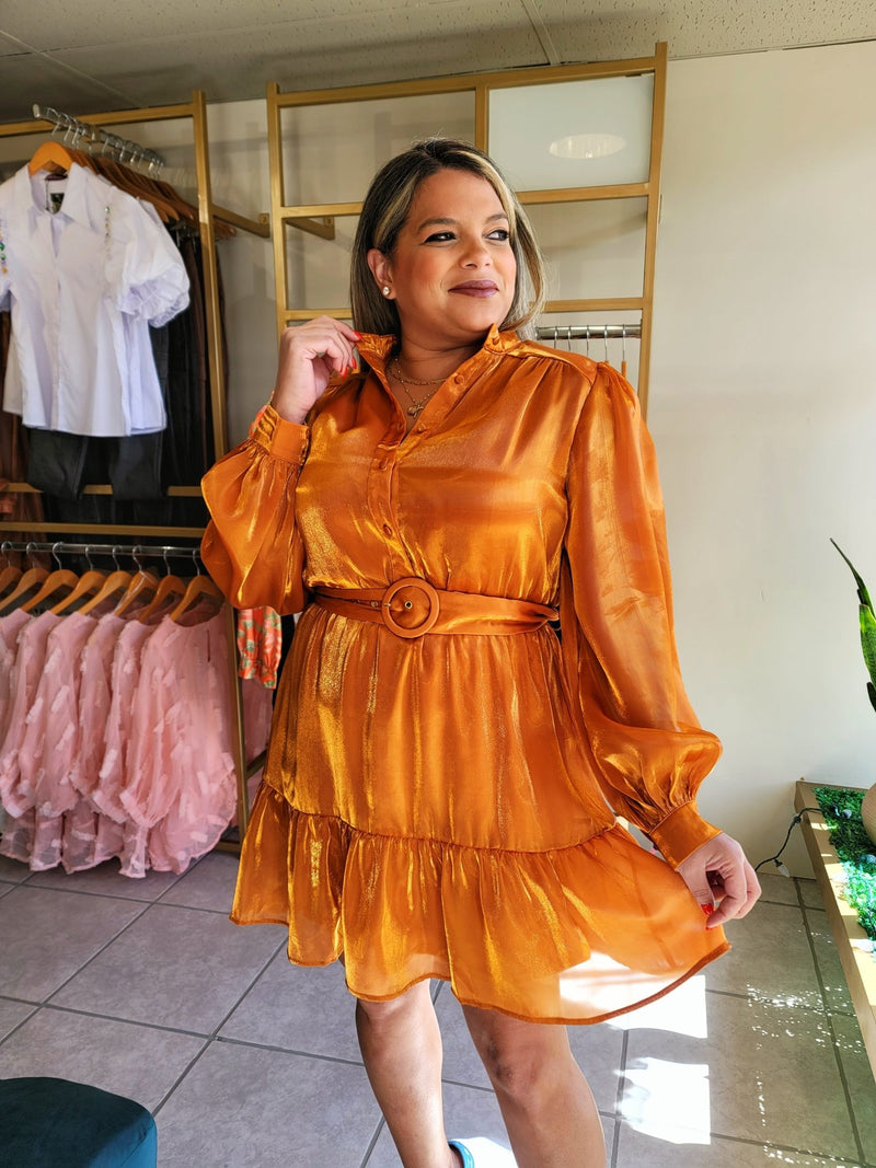 Eternal Sunshine Dress with Belt - vientostheshop